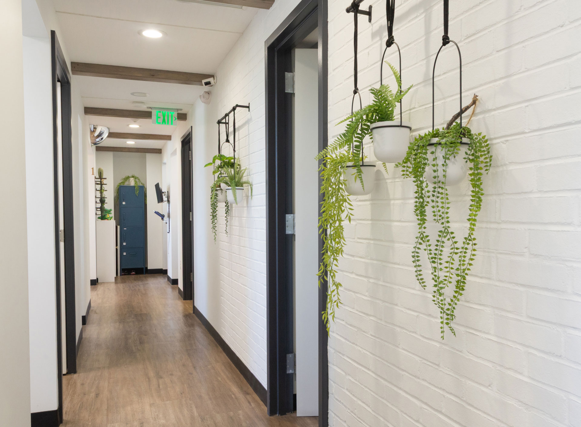 hallway of dental office with entrances to exam rooms on both sides, succulents hanging from hooks on wall